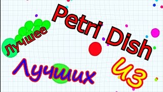 PETRI DISH  |  ЛУЧШЕЕ ПОДОБИЕ AGAR.IO