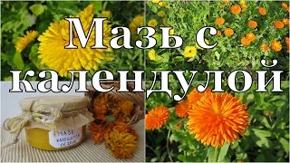 Отличная МАЗЬ с календулой своими руками // Calendula ointment