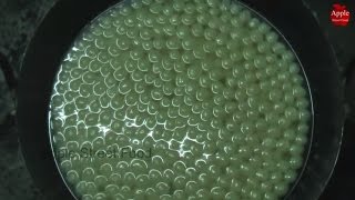 Bengali Rasgulla Recipe  || Rosogulla || How to make rasgulla ||   Apple Street Food ||
