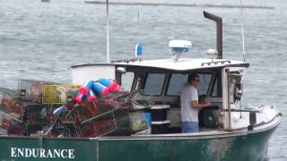 Canon PowerShot SX30 IS 35x Zoom #2