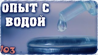 Как сделать простой домашний опыт с водой для детей! Свойства воды - Отец и Сын №103