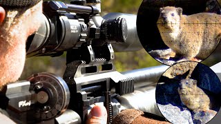 Busting out the Bullpups | Dassie Hunting with the Maverick & Impact (filmed at 1000 frames/sec!)