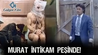 Babanın Oğlu  - Murat İntikam Peşinde!