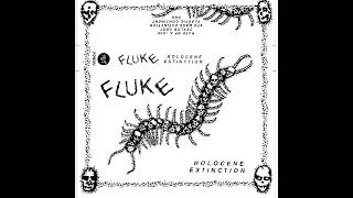 FLUKE - Holocene Extinction [2019 Hardcore Punk]