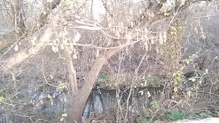 Валуйский бардак #валуйки#белгород#область