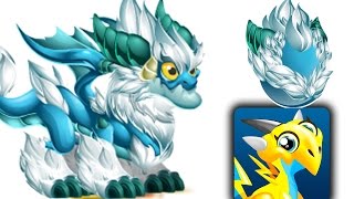 How to Get Mystic Blizzard Dragon 100% Real! Dragon City Mobile!