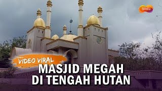 5 Fakta Menarik Masjid Megah di Tengah Hutan yang sedang Viral