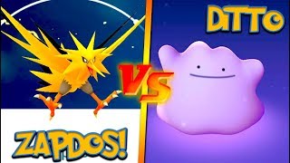 NEW ZAPDOS vs. THE DITTO! POKÉMON GO LEGENDARY RAID CHALLENGE!