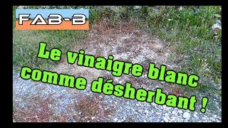 Je teste le désherbage au vinaigre