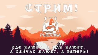 Русская Рыбалка 4 с Алексей BoJIoCaTbIu - Ахтубинские просторы...