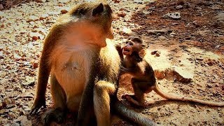 Really afraid mom, why do like this mom!son very hungry crying request,mom not worried Alba.