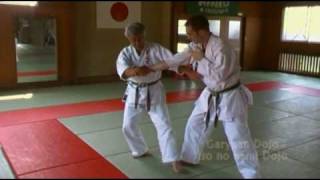 Garyuan Dojo Asayama Ichiden Ryu Tai Jutsu