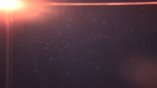 Ambient Dust Particles Free HD Motion Background