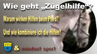 Reiten lernen - Wie geht Zügelhilfe? Und die Hilfengebung prinzipiell verstehen.