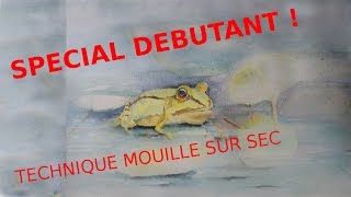 AQUARELLE DEBUTANT ! TECHNIQUE  MOUILLE SUR SEC POUR  PORTRAIT ANIMALIER