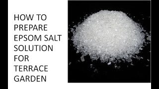 HOW TO PREPARE EPSOM SALT SOLUTION FOR TERRACE GARDEN