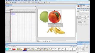 Basic Interactive Slideshow with Adobe Director - Part 1