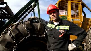 Coopérative Forestiere Girardville - Reboisement