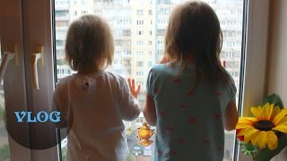 ВЛОГ: Горшок, прививка, Встреча с Ирой Соковых, ГРАД в Питере