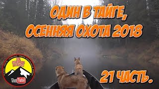 И снова в тайгу /Осенняя охота 2018/ 21 часть.