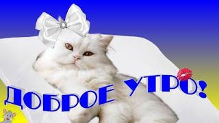 Доброе утро?красивая музыкальная открытка доброго утра?пожелания с добрым утром?