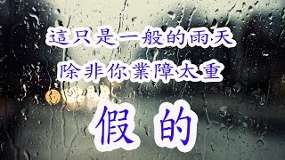 颱風來了嗎? 這一切都是假的，是你的眼睛業障太重而已...........