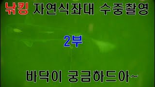 낚킹)와이프와 대일좌대 우럭낚시 도전! 수중촬영까지!! (2부)