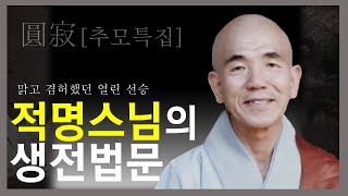 문재인 대통령도 SNS를 통해 추모한! 한국대표적 선승 적명스님의 생전 육성법문 [유튜브최초공개] 간화선과 화두