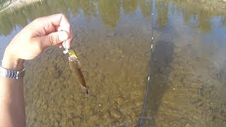 Кефали на HANDMADE воблер:  Chub on HANDMADE wobbler: Головли на воблер ручная работа.