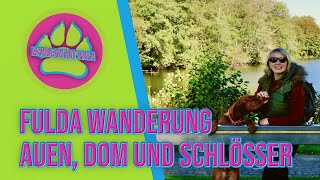 Fulda: Auen ?, Dom ⛪ und Schlösser ? - Wandern mit Hund ?