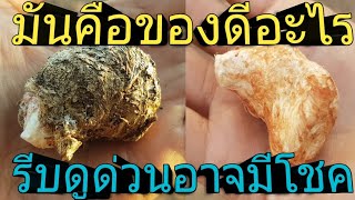 คต ของดี ของมงคล พร้อมเลขเด็ดๆงวดนี้