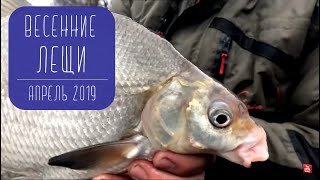 Фидерная рыбалка весной
