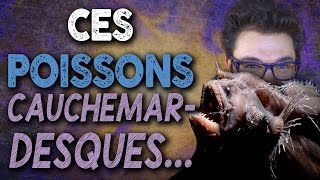 BIZARRERIE : Ces Poissons Cauchemardesques... Bien Réels