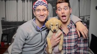 OPENING MAIL WITH PUPPY