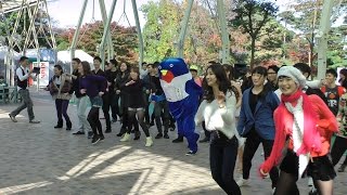フラッシュモブ　flash mob　社交ダンス