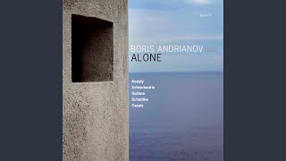 Cello Sonata in B Minor, Op. 8: I. Allegro maestoso ma appassionato