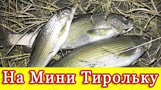 Очередная рыбалка на реке Чуя.Рыбалка на Алтае.
