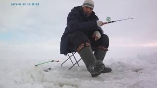 ловля судака зимой на тюльку