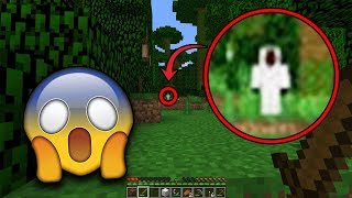 Entity 303 is trying to delete my Minecraft World! (Scary Minecraft Video)