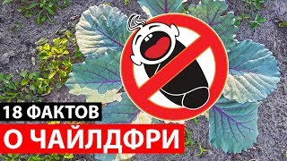 18 ФАКТОВ О ЧАЙЛДФРИ - ДОБРОВОЛЬНО БЕЗДЕТНЫХ ЛЮДЯХ