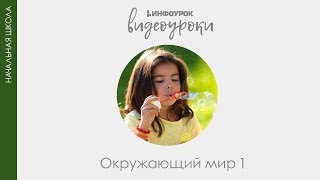 Появление жизни на Земле | Окружающий мир 1 класс #38 | Инфоурок