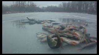 Первый лед в Саратове - Энгельсе, открытие зимнего сезона 2017/2018 , окунь жирует.