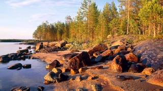 БЕЛАЯ НОЧЬ, сл. и муз. И.Скорик