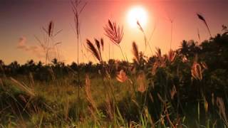 ?♪ ♫??Христианская песня: "Ты зажигаешь в небе звезды" | ?Christian