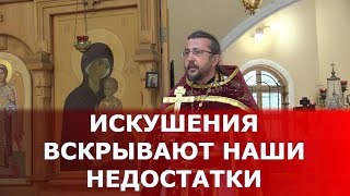 Искушения вскрывают наши недостатки. Священник Игорь Сильченков