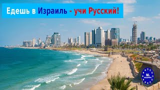 Едешь в Израиль - учи русcкий! Петах Тиква