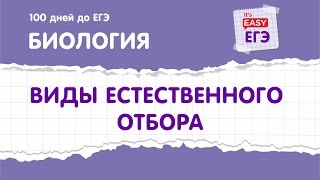 ЕГЭ по биологии. Виды естественного отбора.
