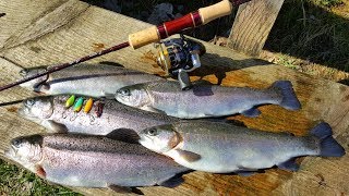 Ловля прудовой форели или "Trout Area"/Как ловить на микро колебалки?/ micro spoons for beginners
