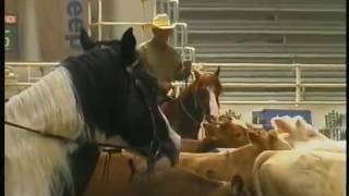 RDVideo  - AICH 2000 Voghera Classic cat. Open 2° Go (Domenica) (T. Curtiss su ML Wonder Oak)