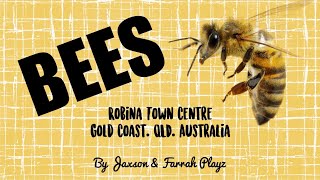 Jaxson & Farrah Playz - BEES ?